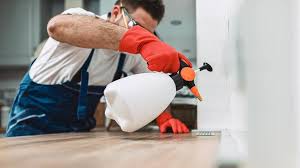 Best Residential Pest Control  in Macedonia, OH